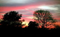 abendlicher Winterhimmel