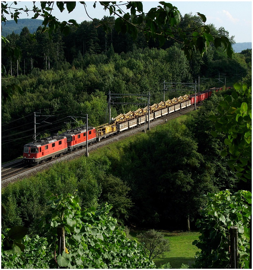 Abendliches aus dem Rebberg