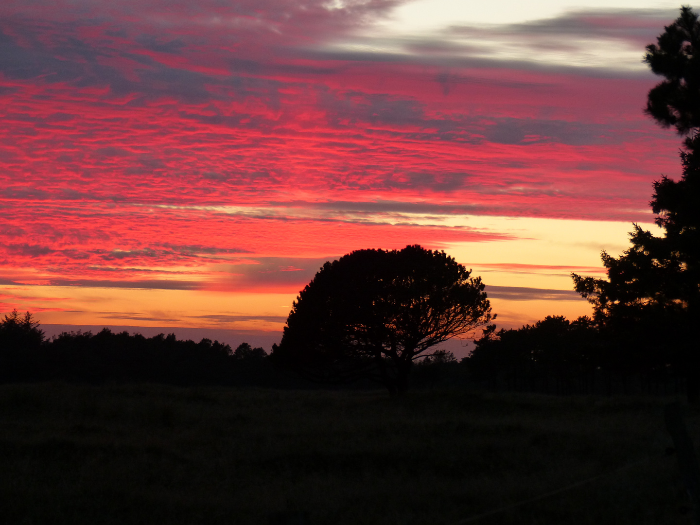 Abendliches Farbenspiel am Himmel von Vejers Strand (DK)