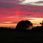 Abendliches Farbenspiel am Himmel von Vejers Strand (DK)