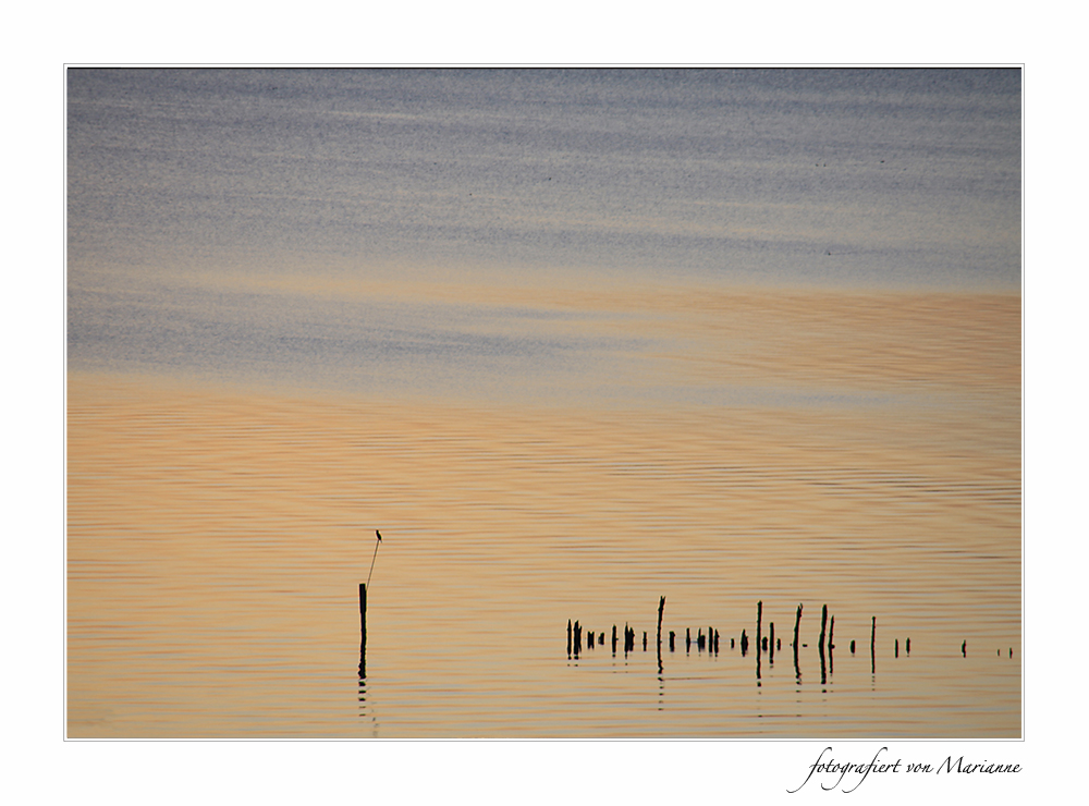 Abendliches Farbenspiel