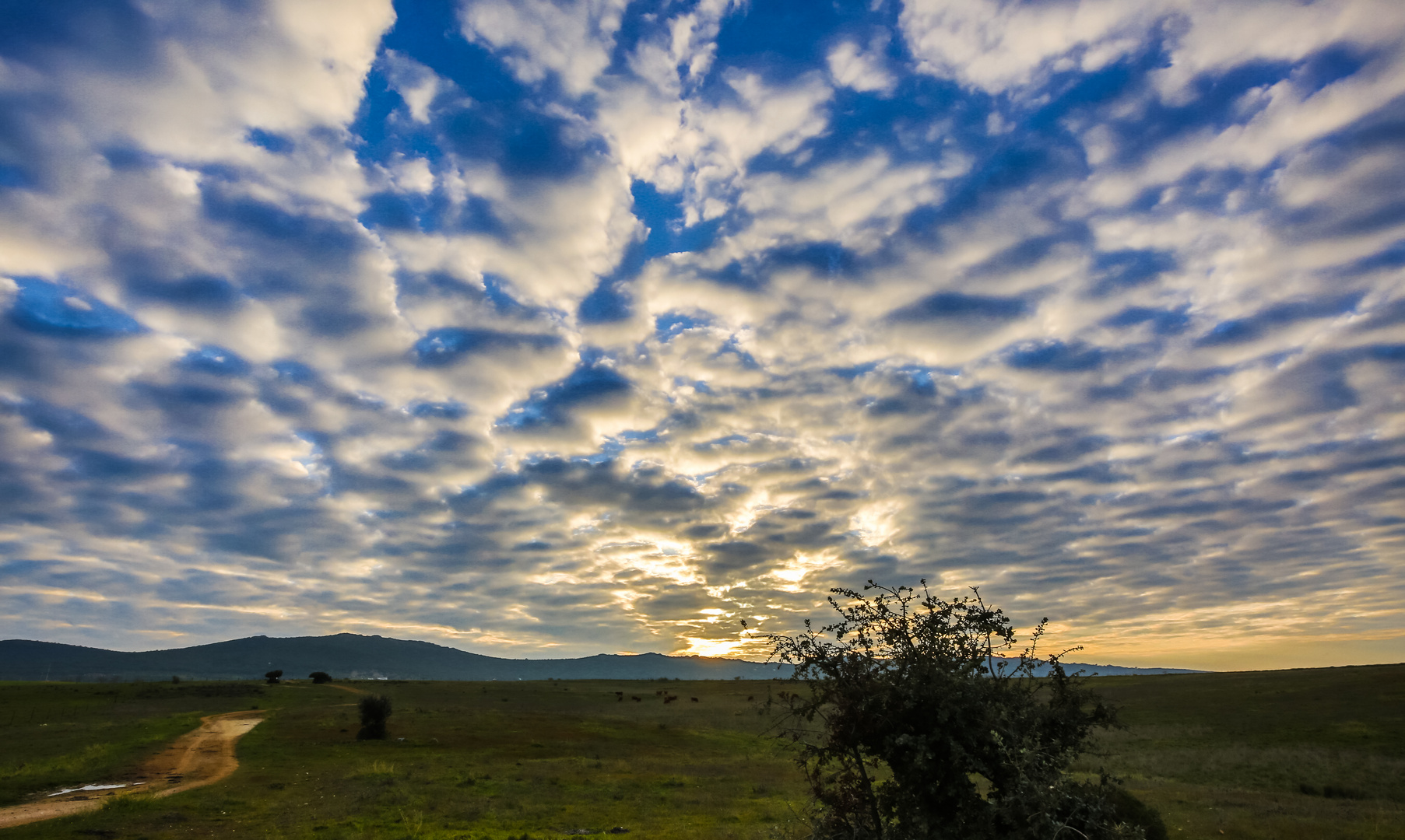 abendliches Farbspiel