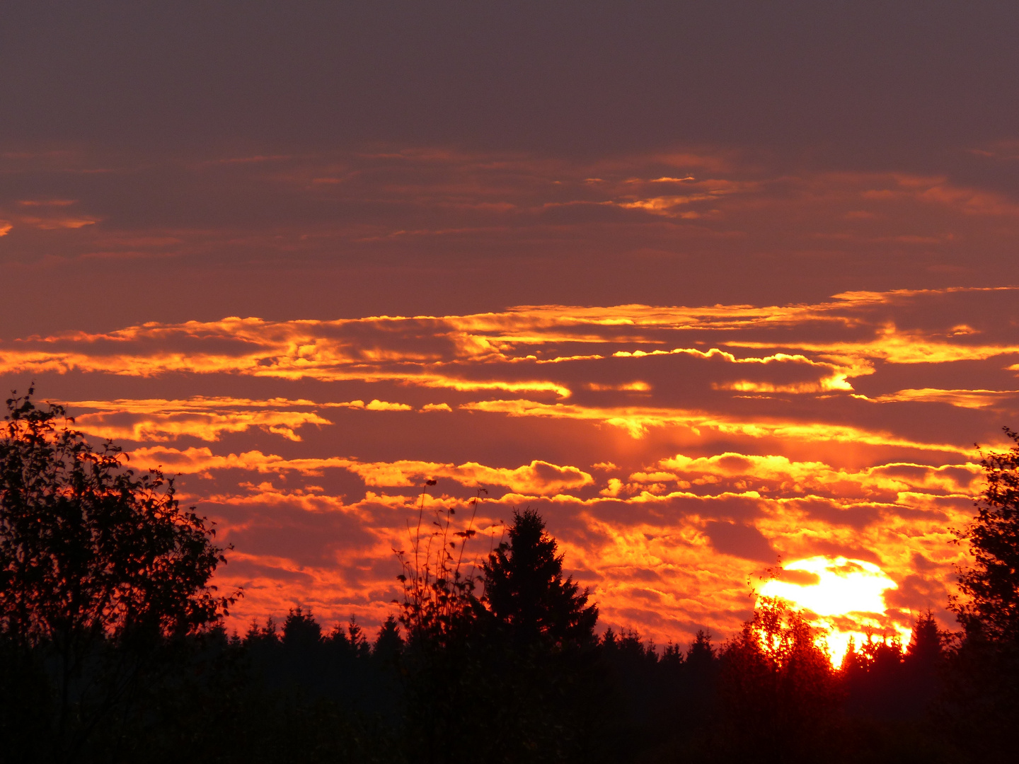 Abendliches Flammenmeer im Naturpark Hohes Venn