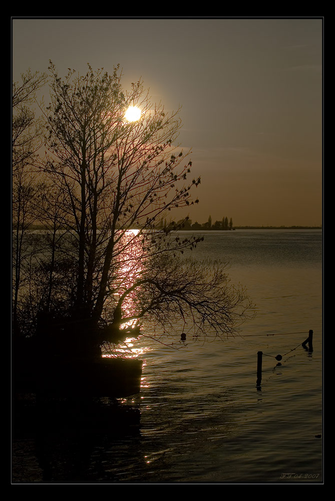 abendliches Gegenlicht