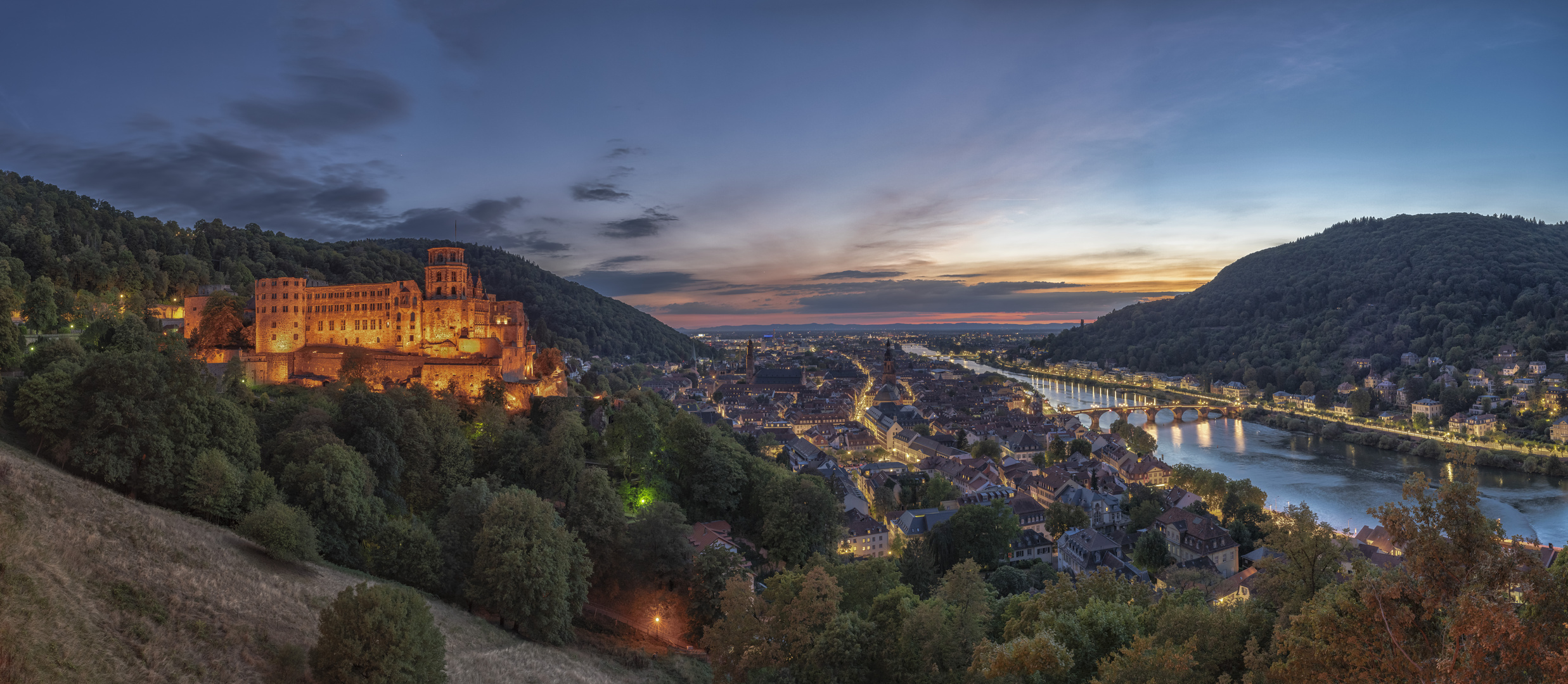 abendliches Heidelberg im August zur Blauen Stunde