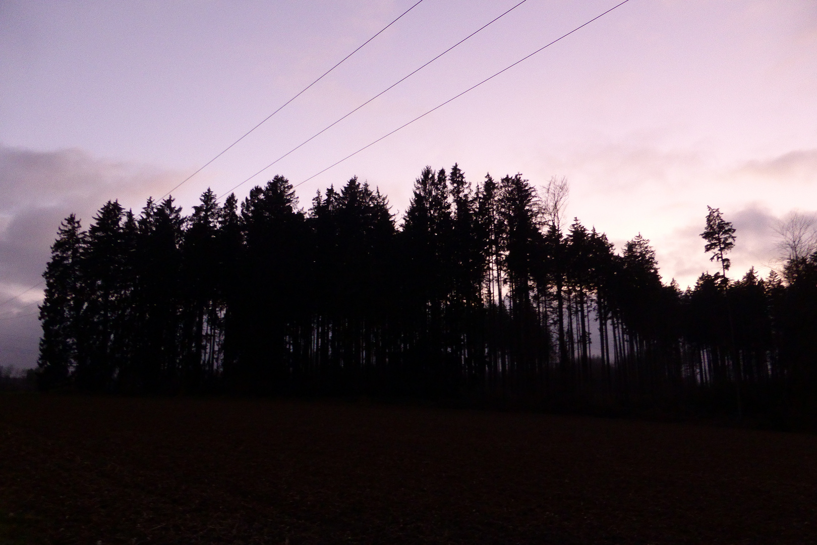 Abendliches Hüllberg Holz