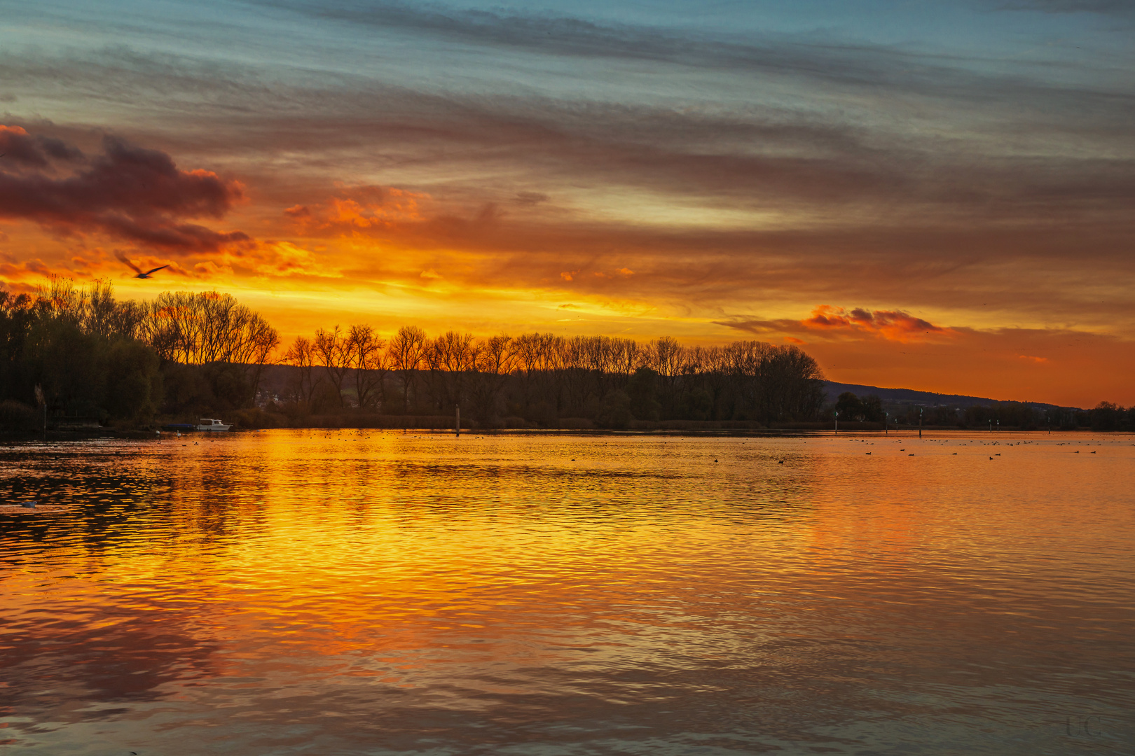 Abendliches Leuchten 