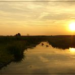 Abendliches Licht in Brandenburg