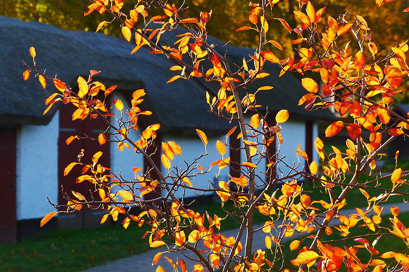 Abendliches Licht - in Ralswiek