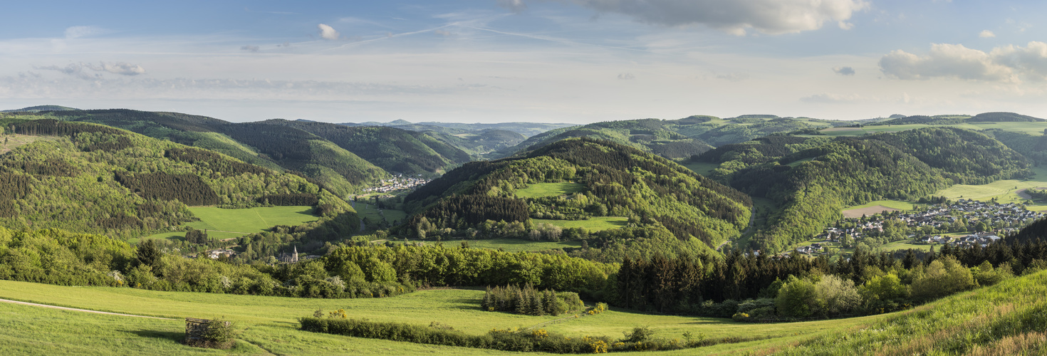 Abendliches Maiengrün im Ahrtal und der Hocheifel