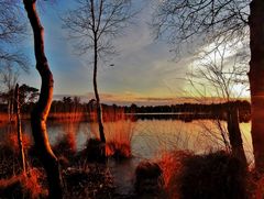 Abendliches Moor-Glühen