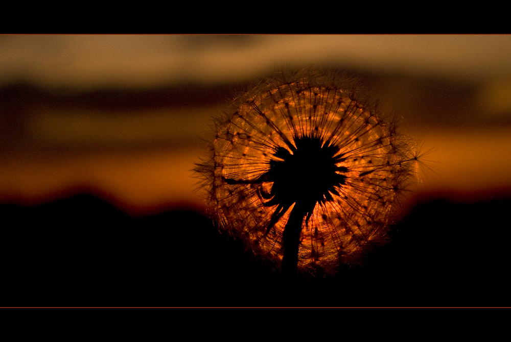 Abendliches Pustelchen