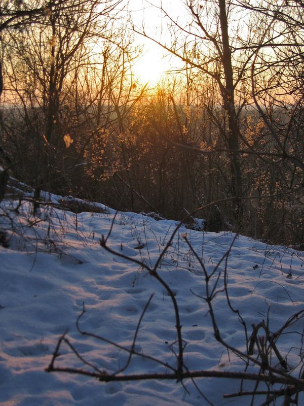 abendliches rot...