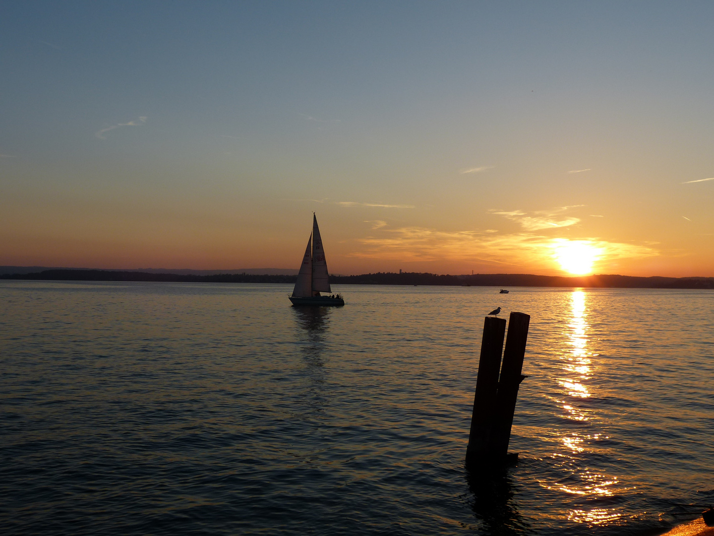 abendliches Sonnenbad