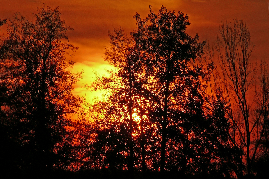 Abendliches Sonnenlicht