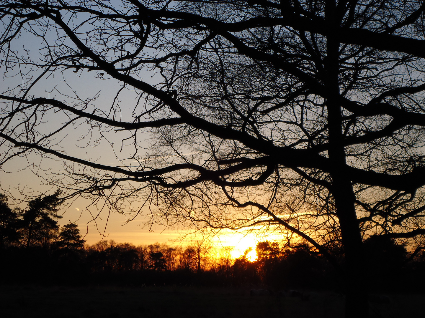 abendliches Sonnenspiel