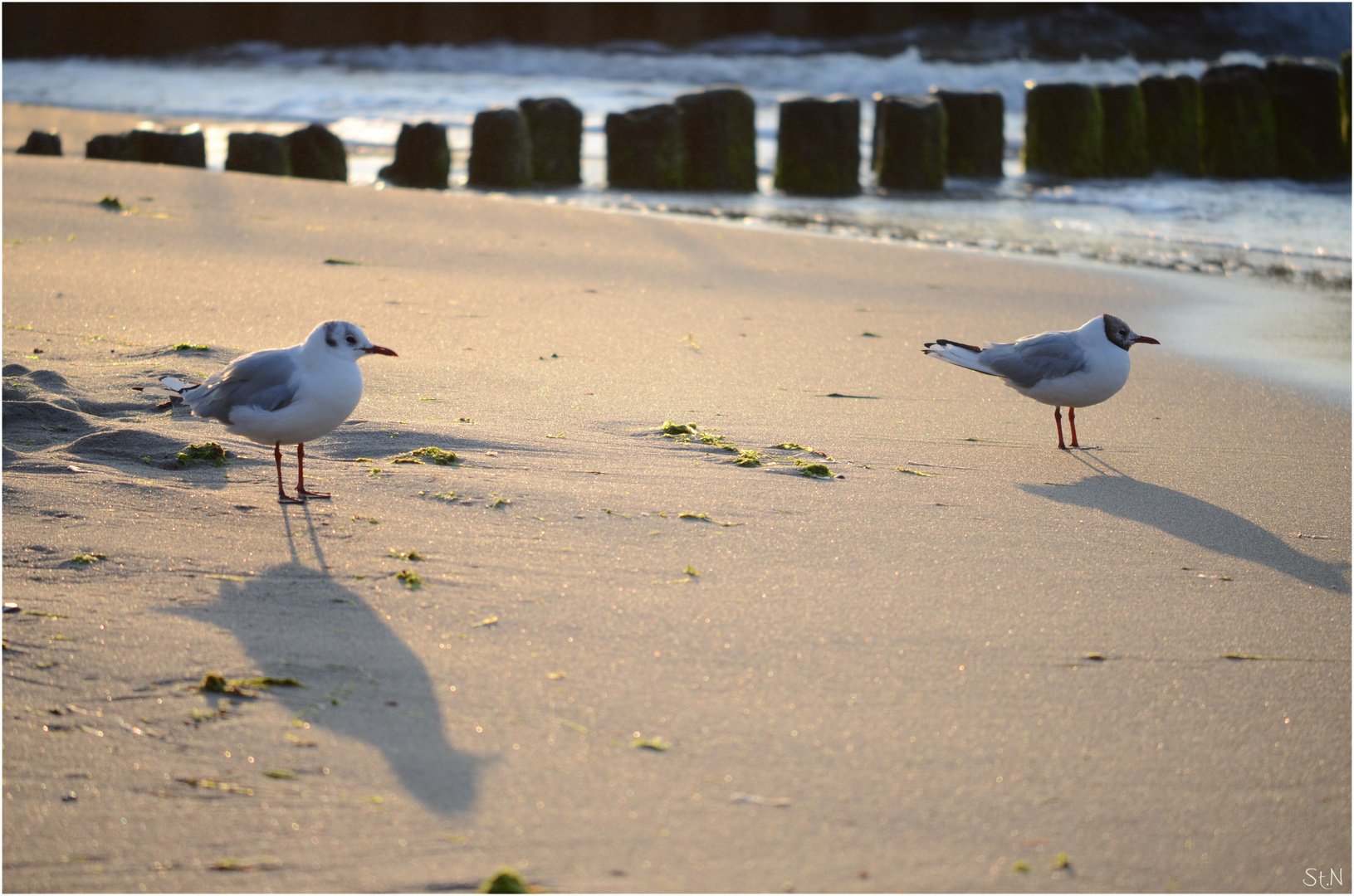 Abendliches Treffen...