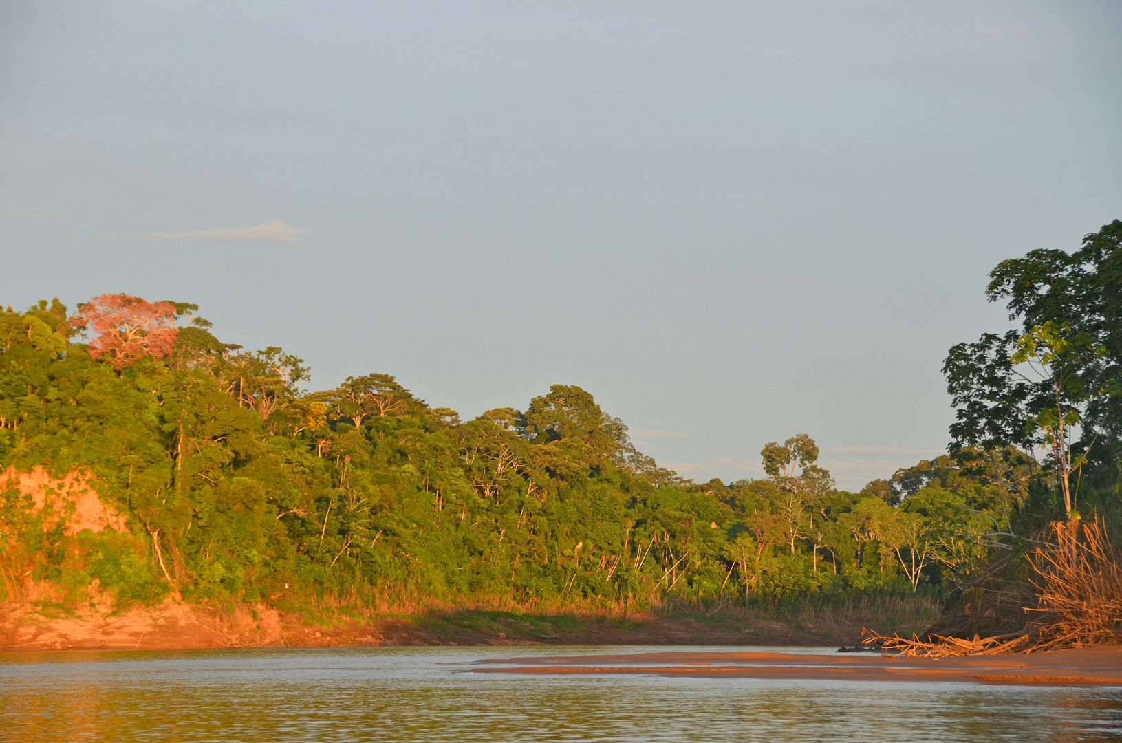 Abendliches Urwaldflair am Rio Tambopata