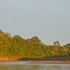 Abendliches Urwaldflair am Rio Tambopata