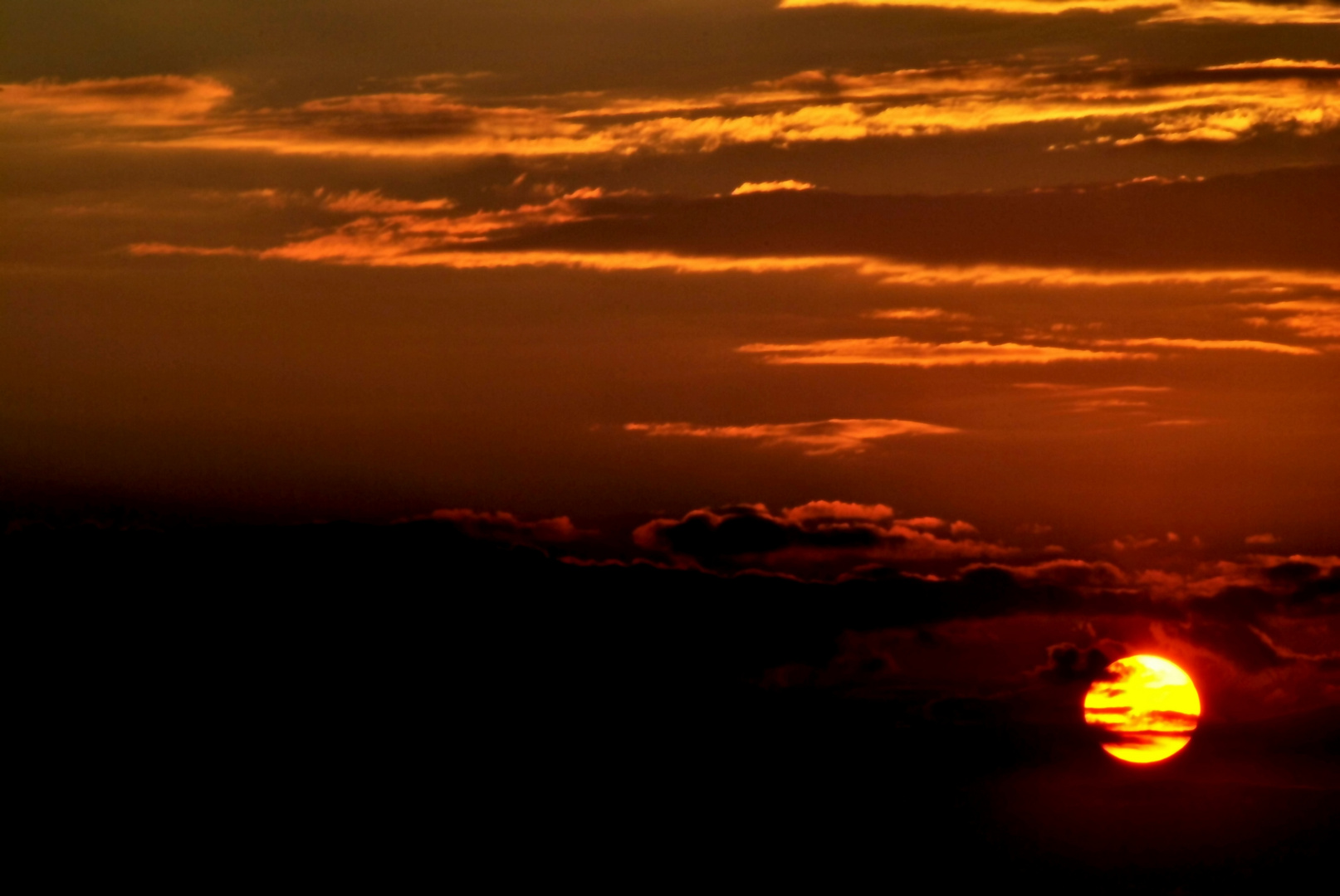 Abendliches Versteckspiel