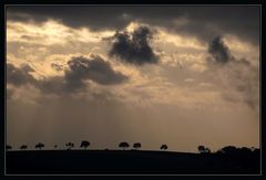 abendliches Wolkenspiel