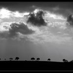 abendliches Wolkenspiel