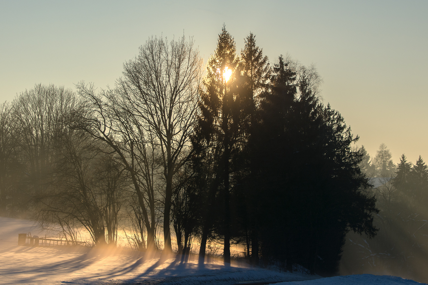 Abendlicht