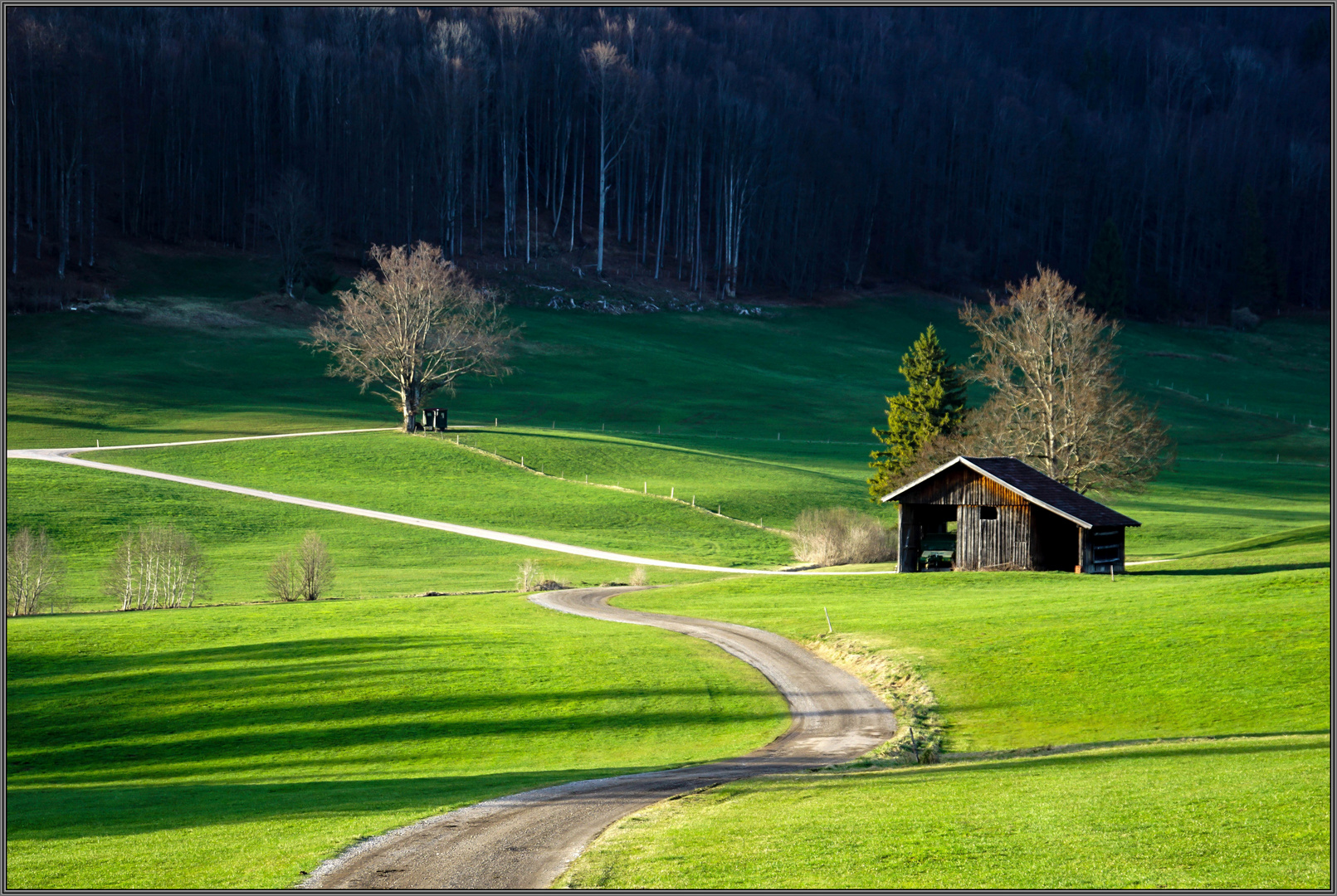 Abendlicht