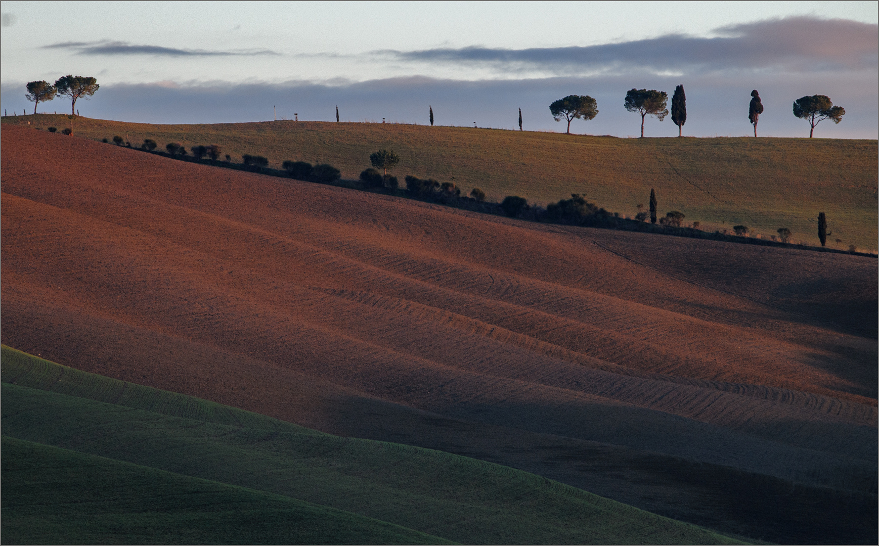 Abendlicht