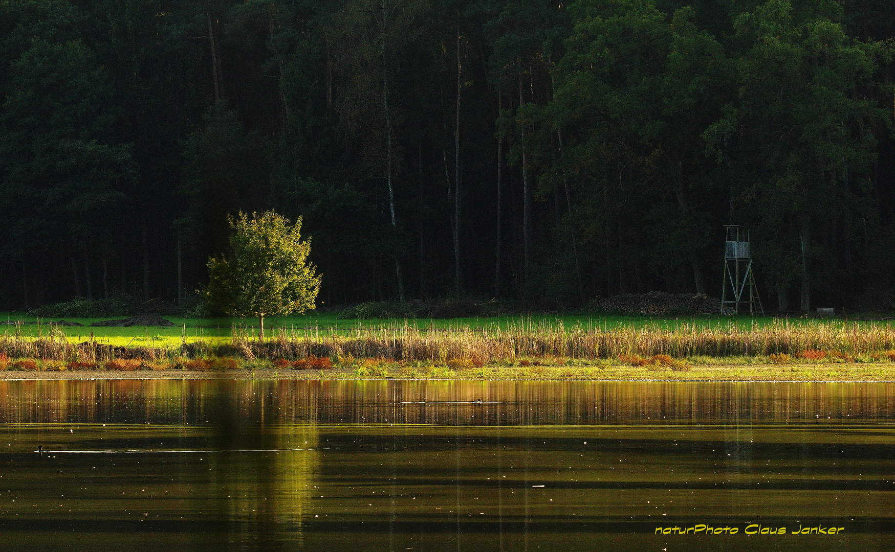 Abendlicht