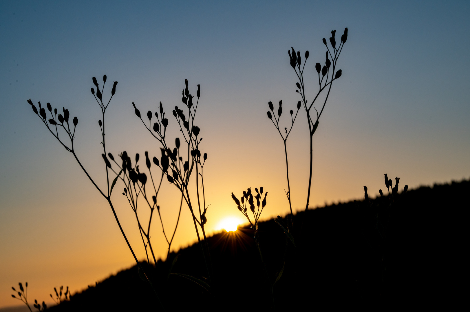 Abendlicht