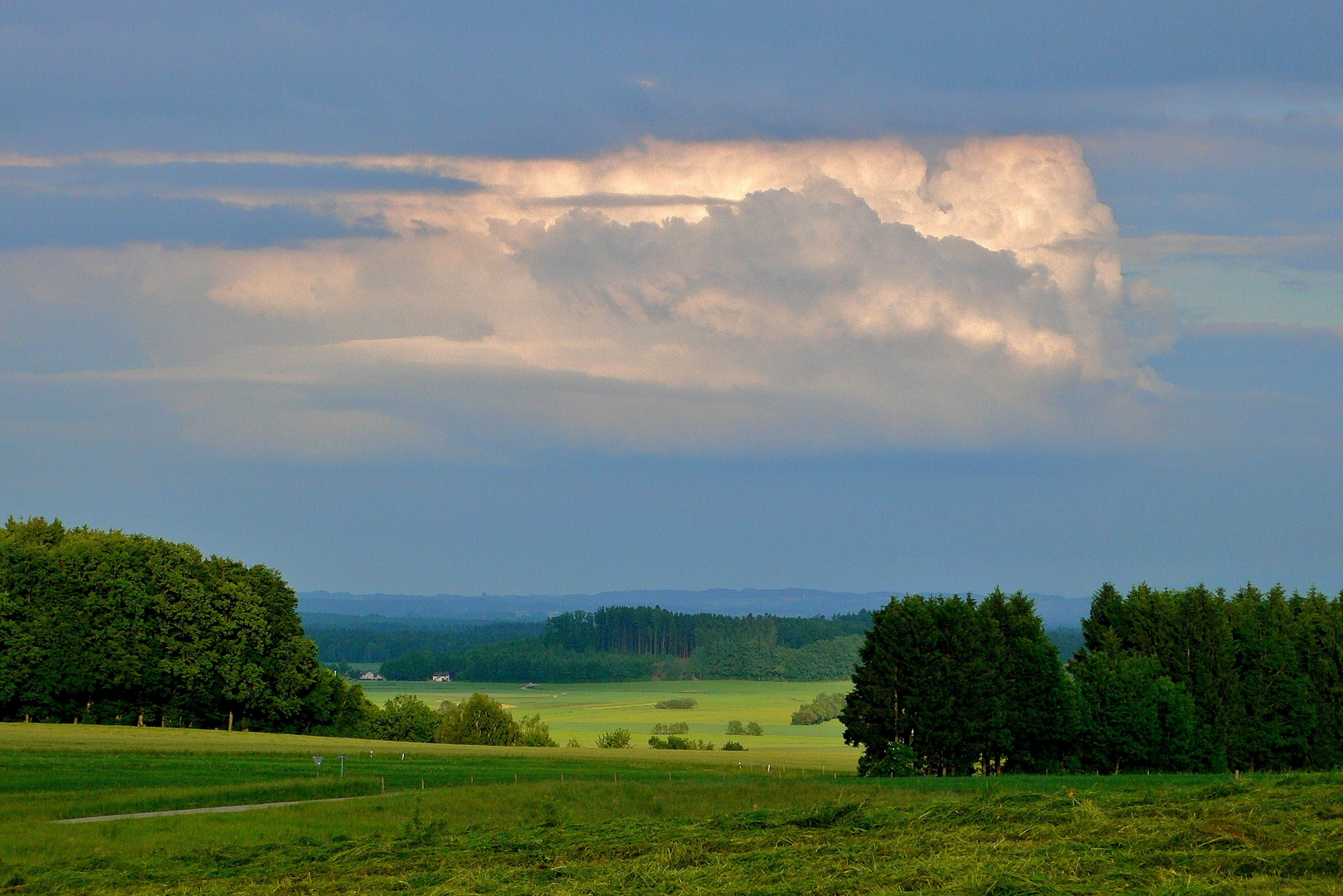 Abendlicht