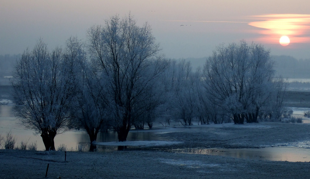 Abendlicht