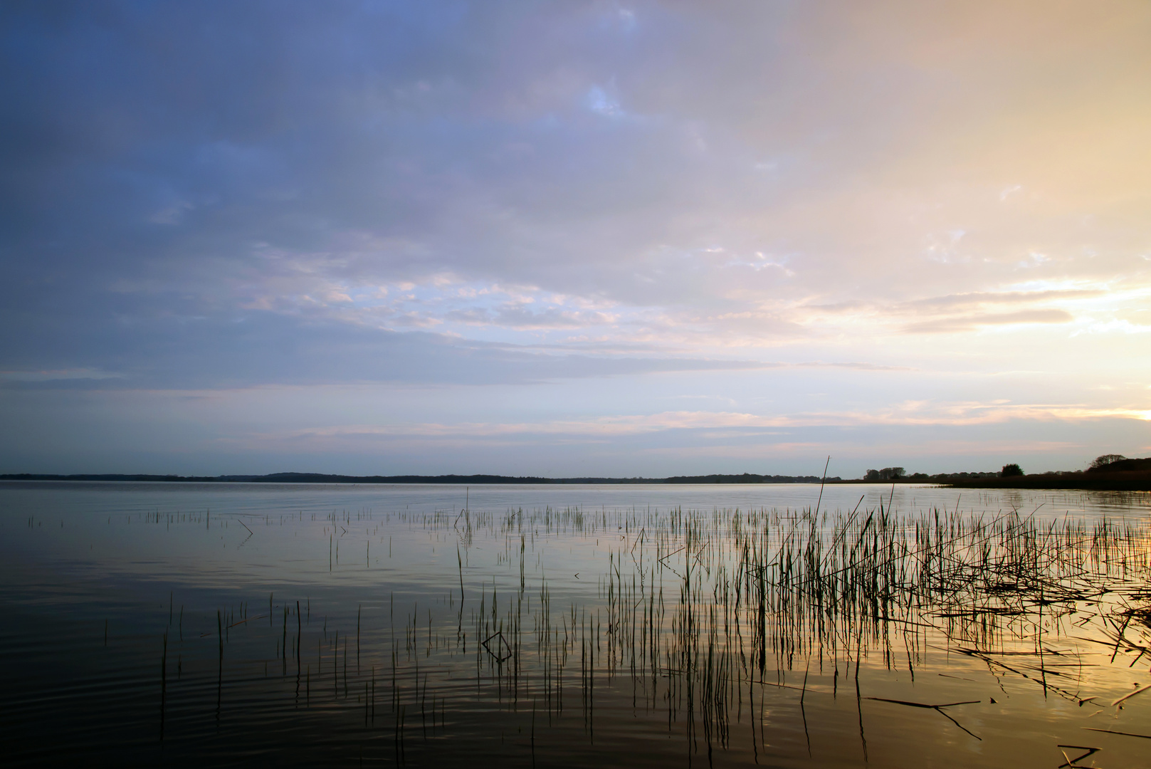 Abendlicht