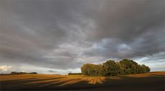Abendlicht