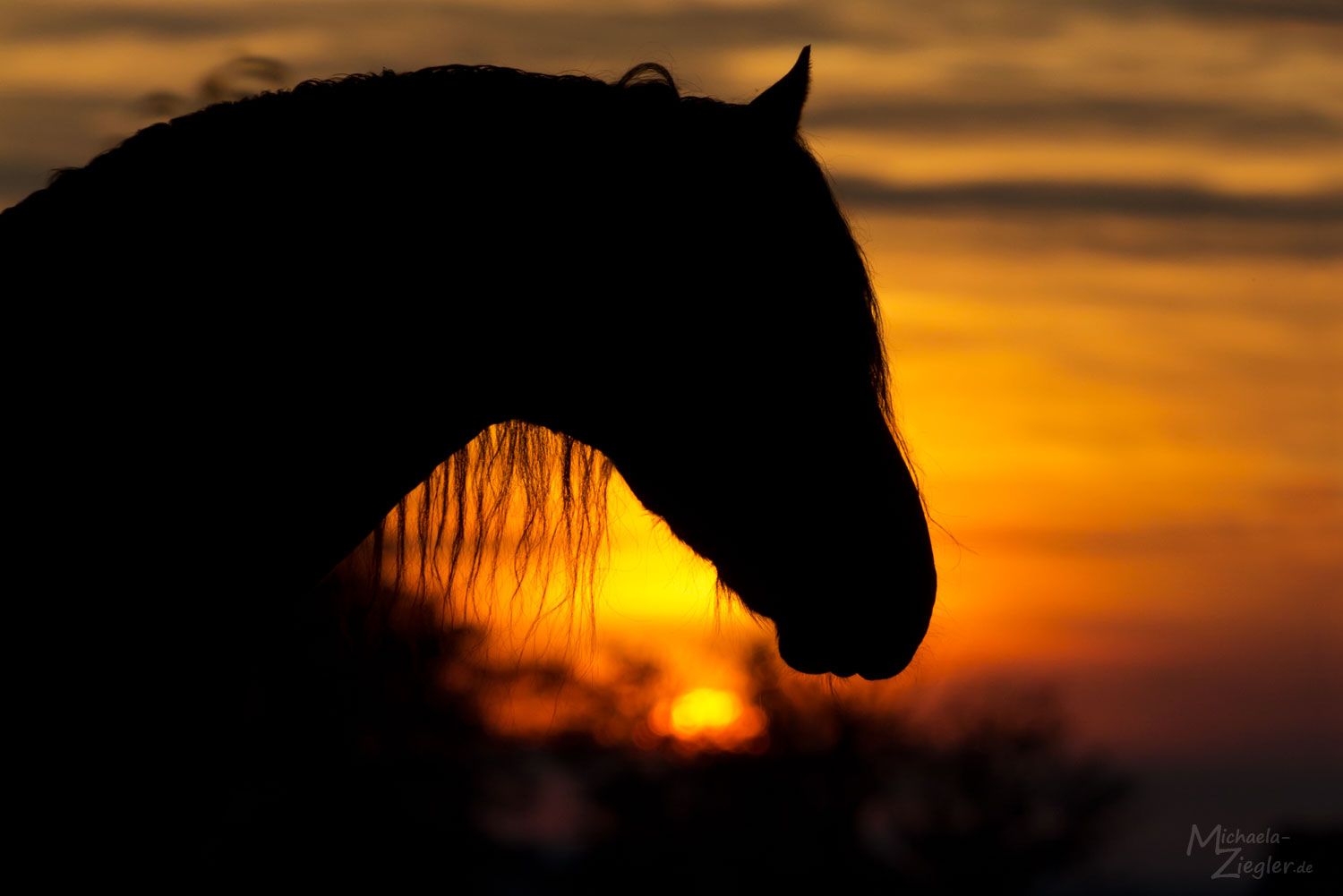 Abendlicht