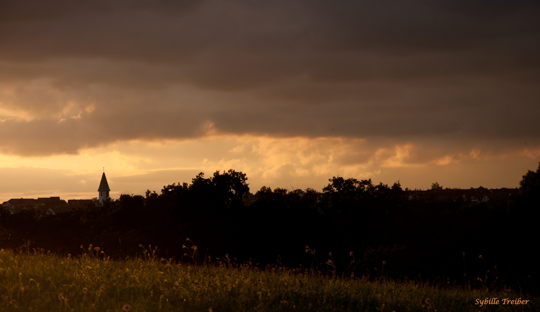 Abendlicht