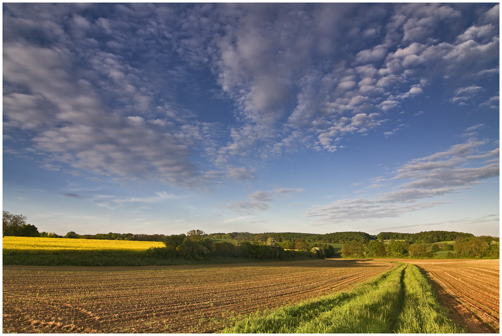 Abendlicht