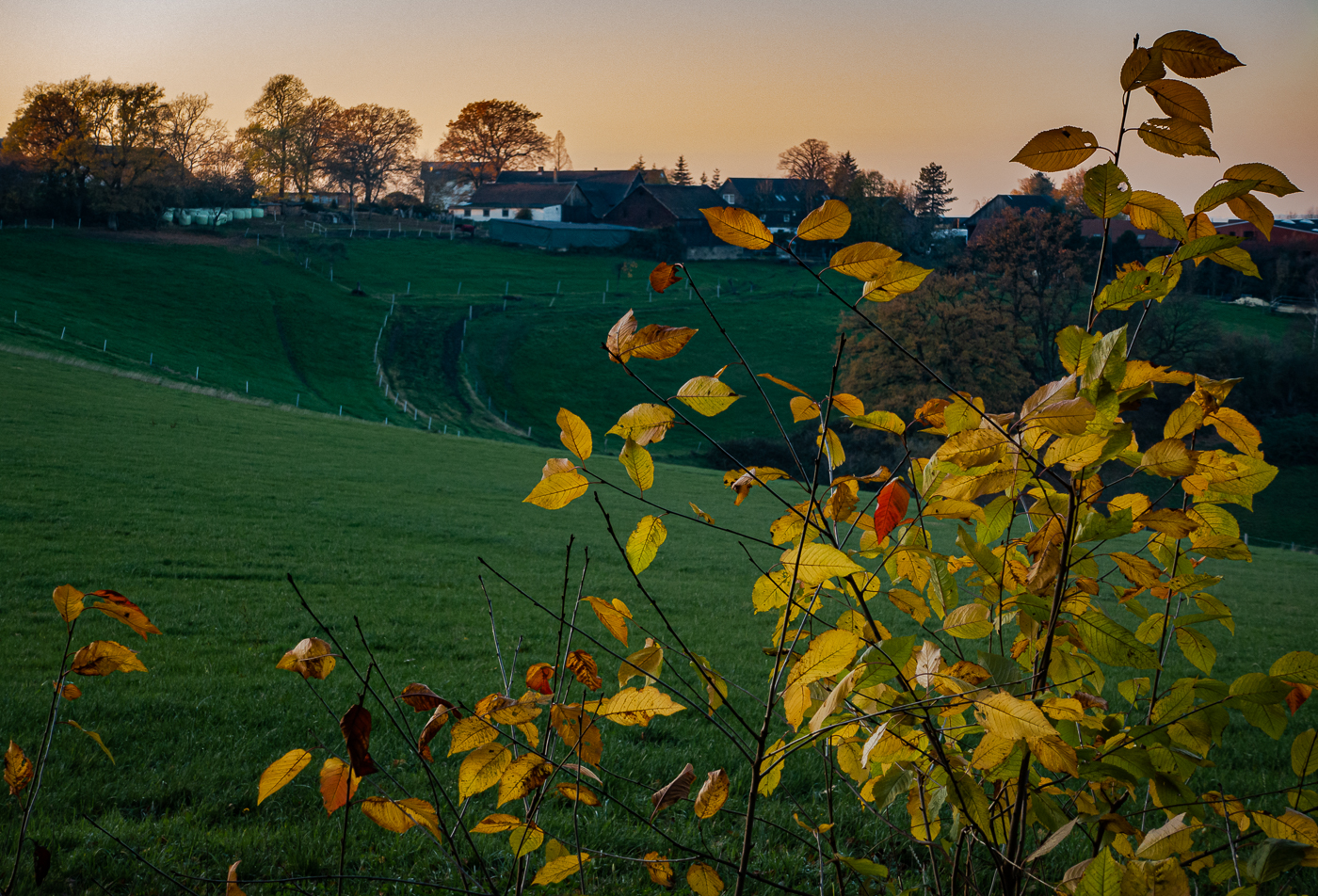 Abendlicht