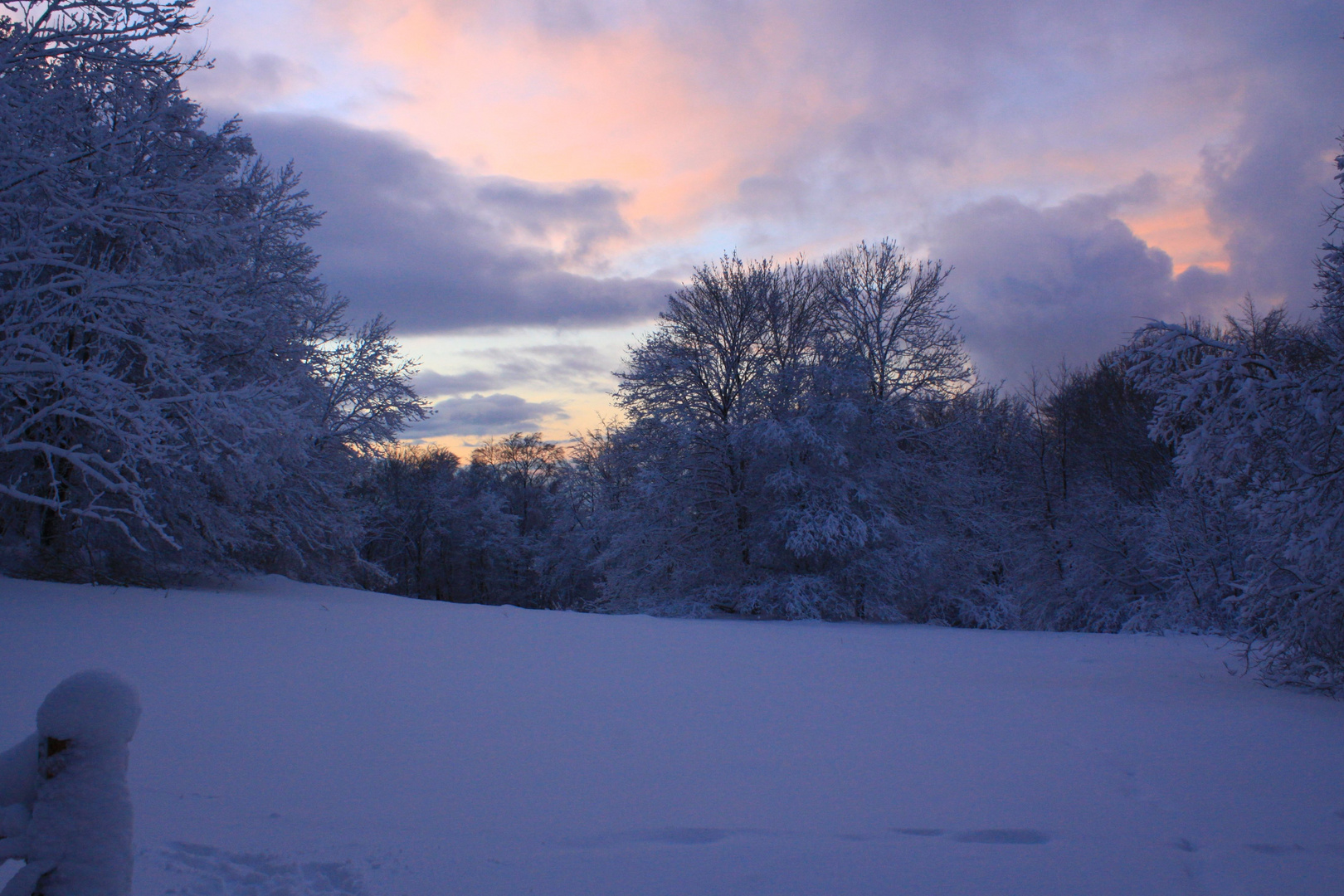 Abendlicht