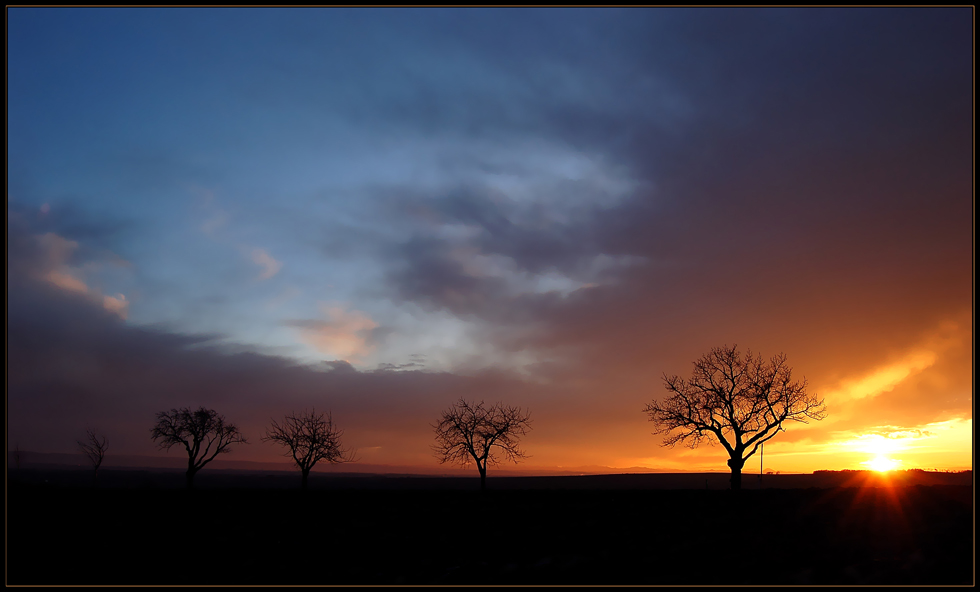 Abendlicht