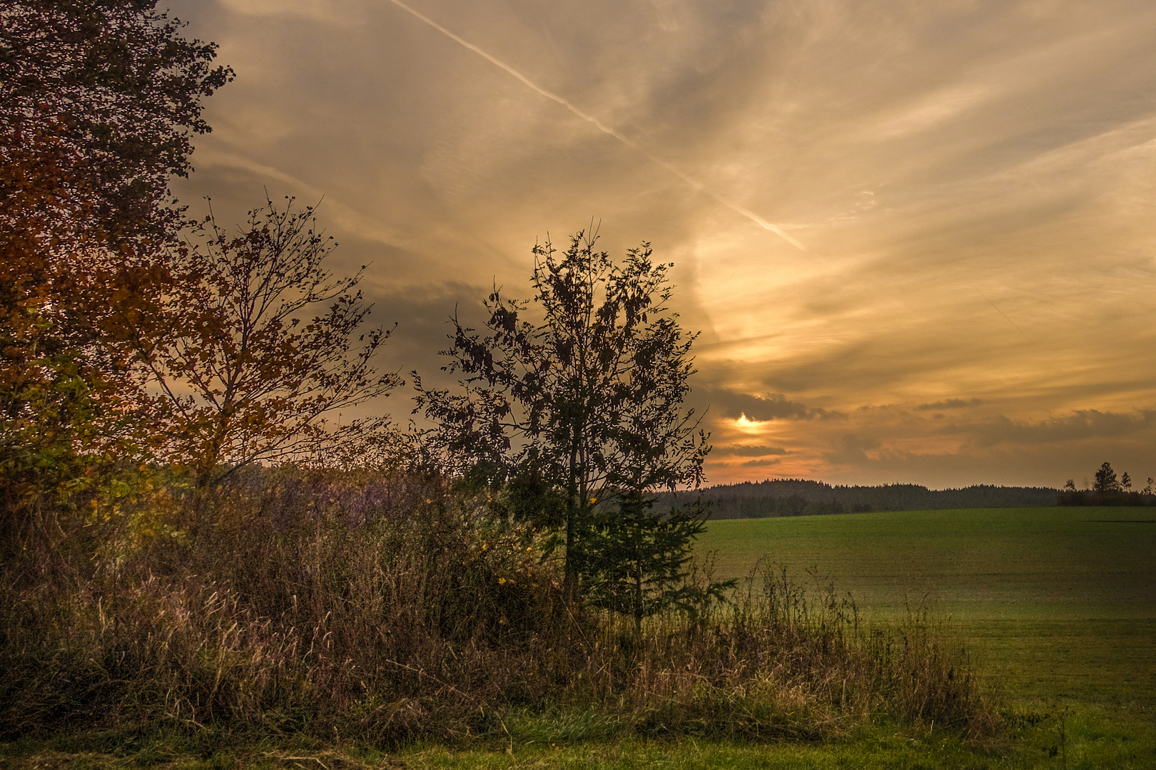 Abendlicht