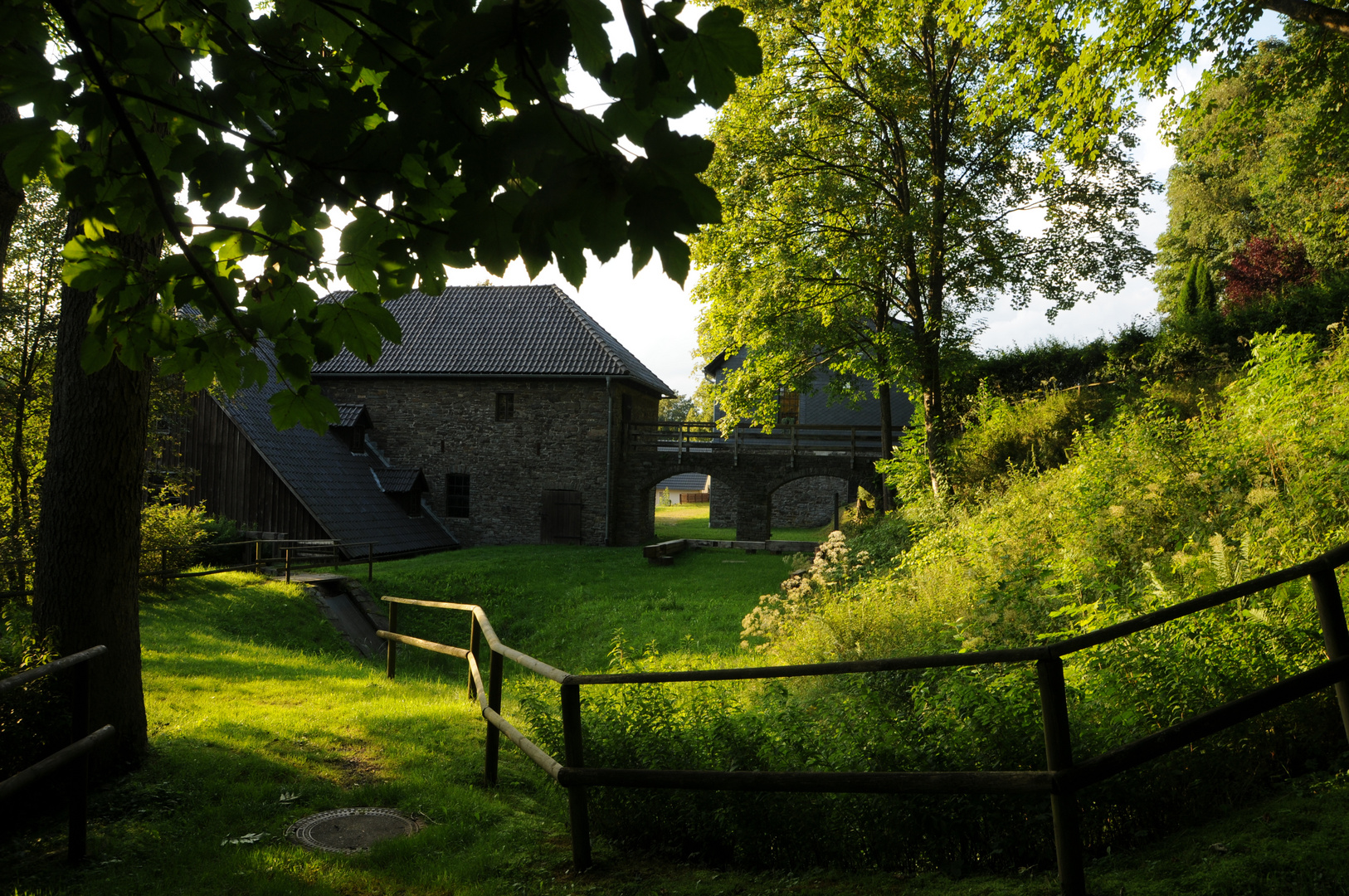 Abendlicht