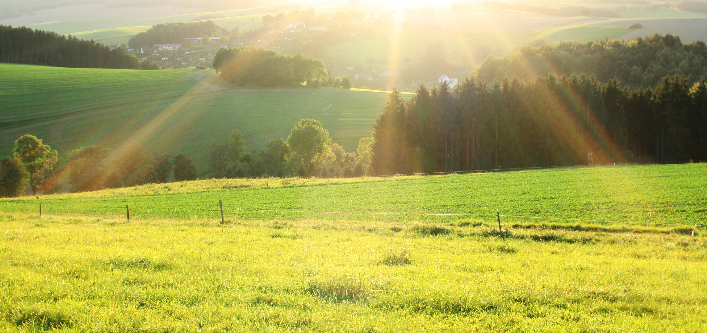 Abendlicht