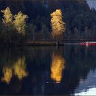 Abendlicht am Almsee OÖ