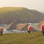 Abendlicht am Benwee Head