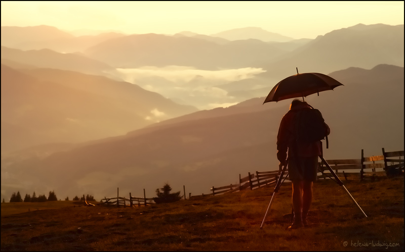 Abendlicht am Berg