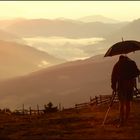 Abendlicht am Berg