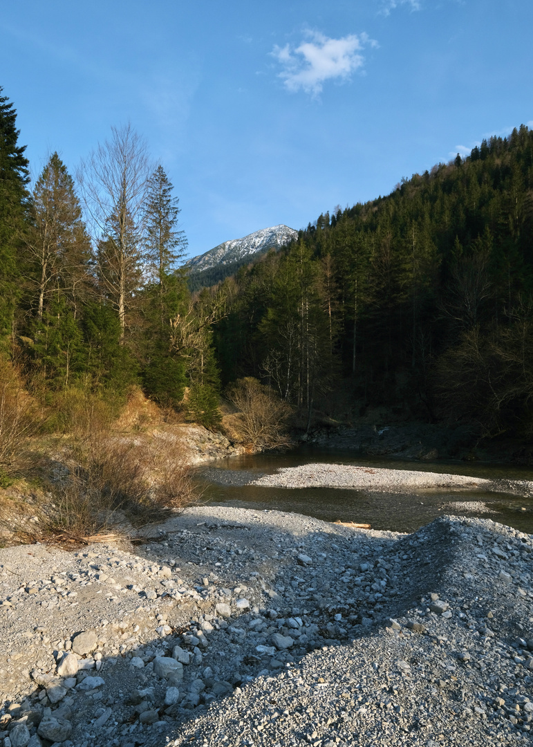 Abendlicht am Bergbach