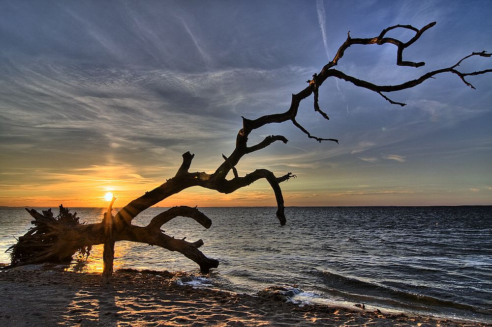 Abendlicht am Bodden